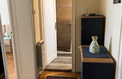 Rental of a comfortable 2-room apartment, 55 m², city center, Belgrade, Serbia